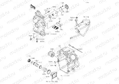 Oil Pump/Oil Filter