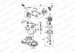 Oil Pump/Oil Filter