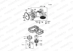 Oil Pump/Oil Filter