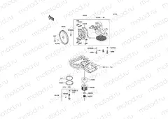 Oil Pump/Oil Filter
