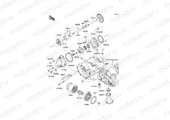 Oil Pump/Oil Filter