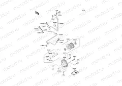 Oil Pump/Oil Filter