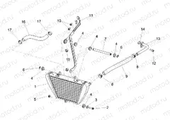 Oil radiator