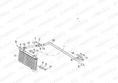 Oil radiator
