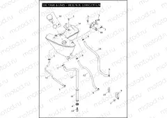OIL TANK & LINES - 883L/N/R, 1200C/CP/L/N/X