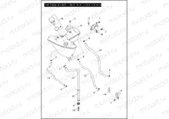 OIL TANK & LINES - 883L/N/R, 1200C/CP/N/V/X