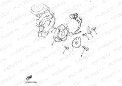 PICK UP COIL & GOVERNOR
