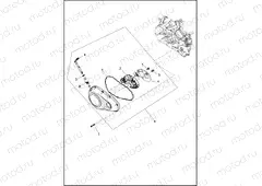 PRIMARY COVER