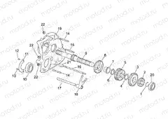 Primary gear shaft