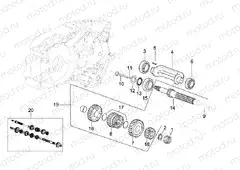 Primary gear shaft