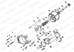 PROPULSION - W005099D (4955775577B006) | PROPULSION - W005099D (4955775577B006)