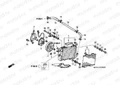 RADIATOR F-33-2 (B.) (VTR1000SP2 / 3/4/5/6)