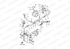 Radiator. Hose