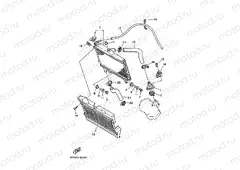 RADIATOR & HOSE