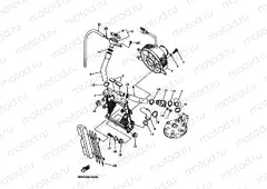 RADIATOR & HOSE