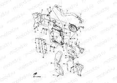 RADIATOR & HOSE