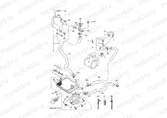 RADIATOR & HOSE