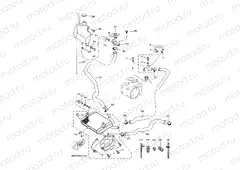 RADIATOR & HOSE