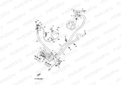 RADIATOR & HOSE