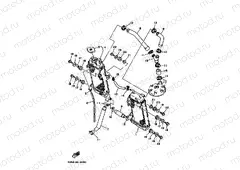 RADIATOR & HOSE