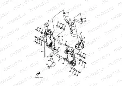 RADIATOR & HOSE
