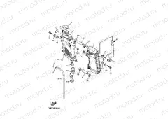 RADIATOR & HOSE