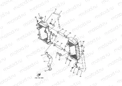 RADIATOR & HOSE