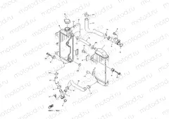 RADIATOR & HOSE