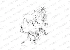 RADIATOR & HOSE