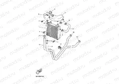 RADIATOR & HOSE