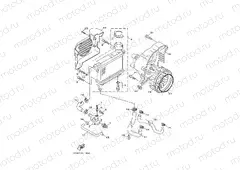 RADIATOR & HOSE