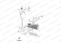 RADIATOR & HOSE