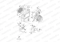 RADIATOR & HOSE