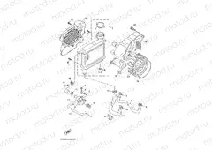 RADIATOR & HOSE
