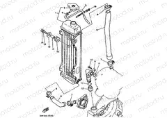 RADIATOR & HOSE