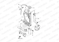 RADIATOR & HOSE