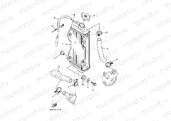 RADIATOR & HOSE