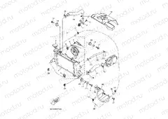 RADIATOR & HOSE
