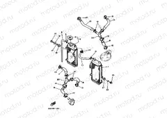 RADIATOR & HOSE