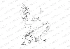 RADIATOR & HOSE