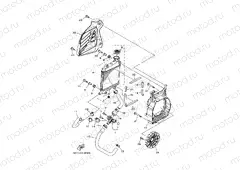 RADIATOR & HOSE