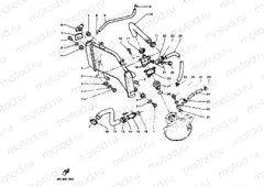 RADIATOR & HOSE