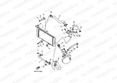 RADIATOR & HOSE