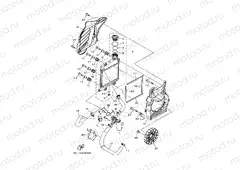 RADIATOR & HOSE