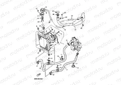 RADIATOR & HOSE