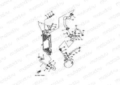 RADIATOR & HOSE