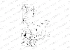 RADIATOR & HOSE