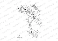 RADIATOR & HOSE