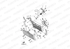 RADIATOR & HOSE
