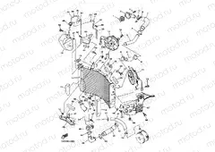 RADIATOR & HOSE